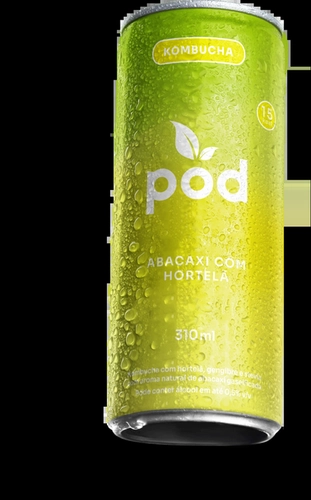 ABACAXI E HORTELÃ 310ML